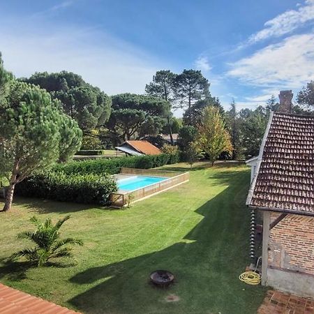 Charmante Maison Dans Les Landes X 10 Avec Piscine Et Salle D Escalade Lue Екстер'єр фото