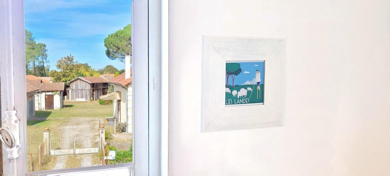 Charmante Maison Dans Les Landes X 10 Avec Piscine Et Salle D Escalade Lue Екстер'єр фото